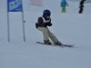 Skimeisterschaft2011Feb05_108