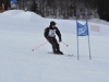 Skimeisterschaft2011Feb05_130