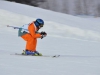 Skimeisterschaft2011Feb05_131